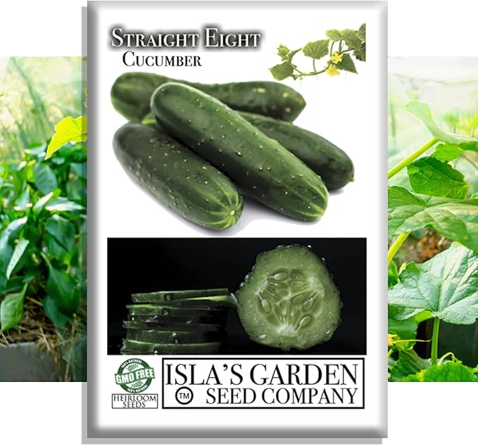 Straight Eight Cucumber Seeds – 150+ Heirloom Non-GMO Seeds by Isla’s Garden Seeds, Crisp & Tender, High-Yield, 90% Germination Rate, Perfect for Slicing, Easy to Grow, Great for Home Gardens or Gift