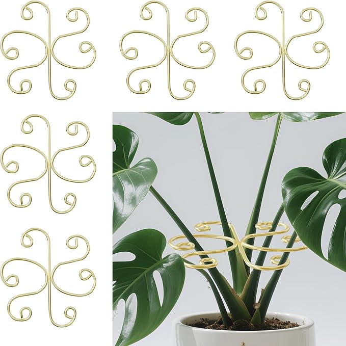 5pcs Plant Stem Support，Metal Shaped Support Frame For Outdoor & Indoor Plant Growth Stereotypes-Small