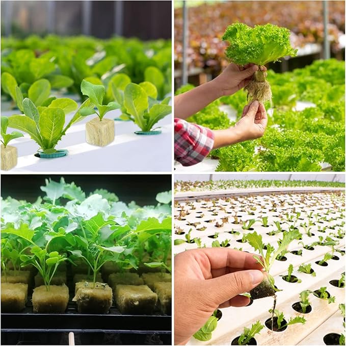 Legigo 1.2 Inch Rockwool Cubes Seed Starter Plugs for Hydroponics, RockWool Planting Grow Cubes for Hydroponic Tower Garden Soilless Cultivation Plants Germination Cutting Clone (6 Sheet, 216 Plugs)