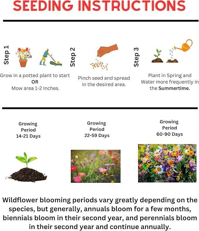 Birds & Butterfly Wildflower Mix (1oz) Sprinkle a Little Magic—Our Shade, Perennial, Hummingbird, Deer-Resistant, and Other mixes Bring Vibrant Color and pollinator Joy to Any Space.
