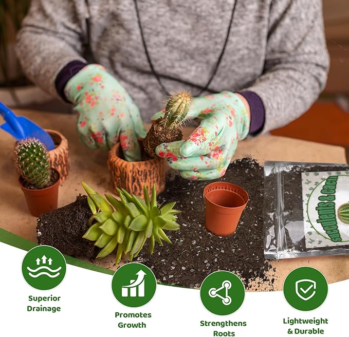 Cactus & Succulent Soil Mix 4qt, Chunky Well-Draining Soil for Indoor Plants - Spike & Bloom