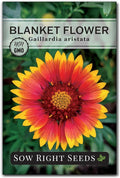 Sow Right Seeds - Blanket Flower Seeds for Planting - Non-GMO Heirloom Seeds Packet with Instructions to Plant Your Garden - Perennial Indian Gaillardia - Grow Native Gardens, Add a Color Bonanza (1)