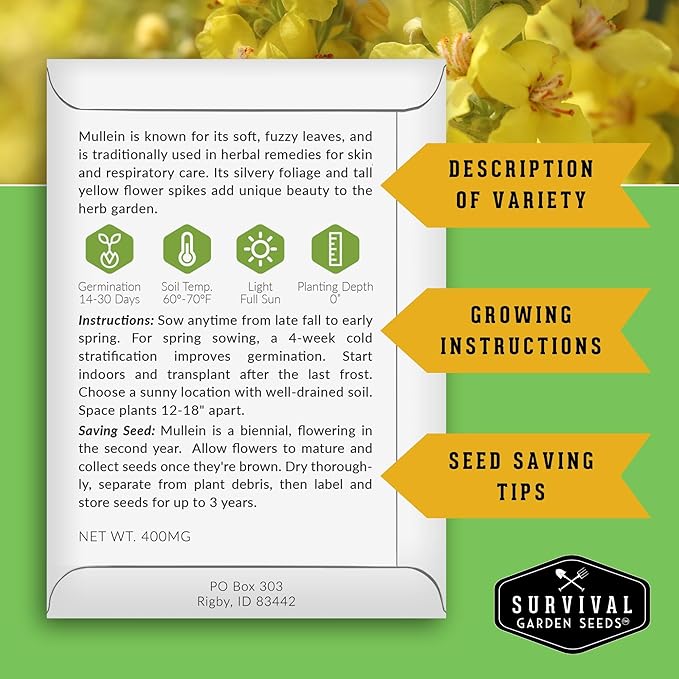 Mullein Seeds for Planting - Verbascum Thapsus Medicinal Biennial Herb with Tall Yellow Flowers - Heirloom Non-GMO Open Pollinated Pollinator Friendly - Survival Garden Seeds (5 Pack)