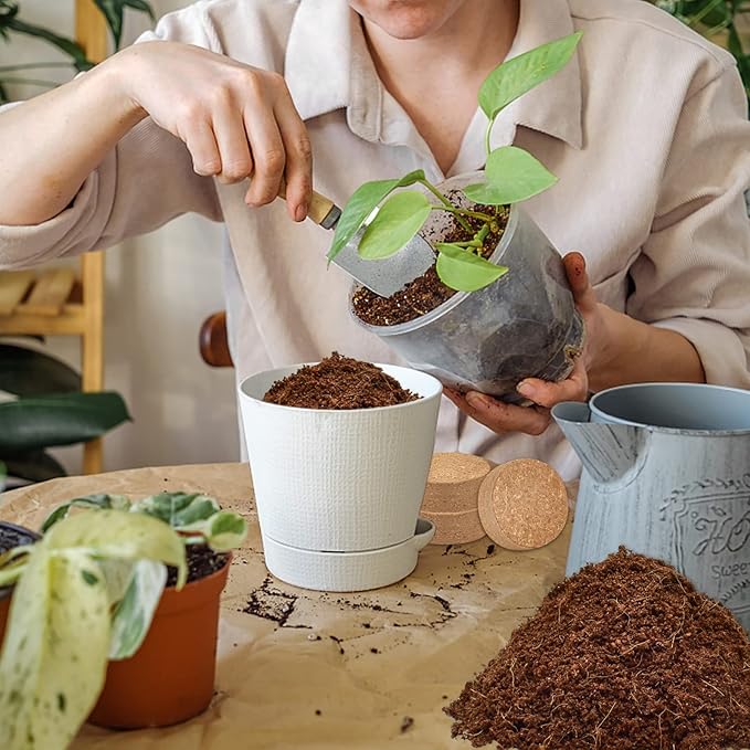 ZeeDix 100pcs 30mm Coco Coir Pellets Potting Soil, Organic Coconut Fiber Seed Starter Soil Pellets, Coconut Coir Soil Discs for Indoor Outdoor Plants, Herbs Houseplants Flowers Succulents Vegetables