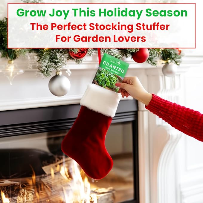 5 Herb Seeds Variety Kit, Oregano, Cilantro, Parsley, Basil, Chives