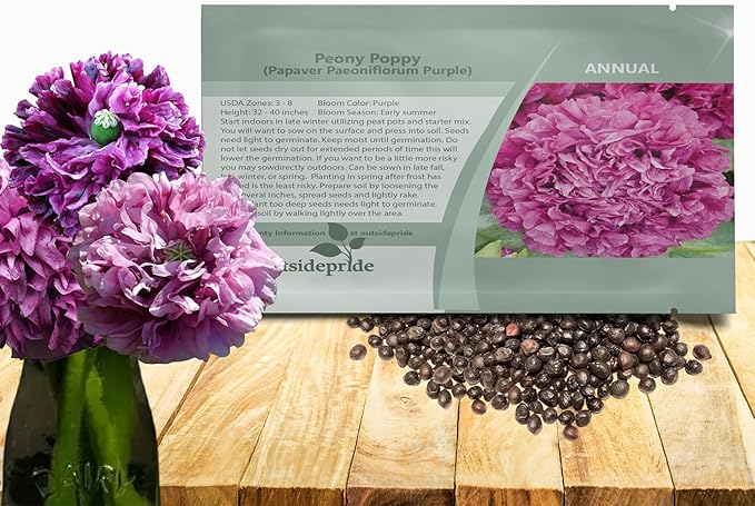 Outsidepride Peony Poppy Seeds for Planting - 10,000 Pcs Annual, Drought-Tolerant & Easy to Grow Wildflower Seeds with Vibrant Purple Blooms for Landscaping, & Pollinator Garden
