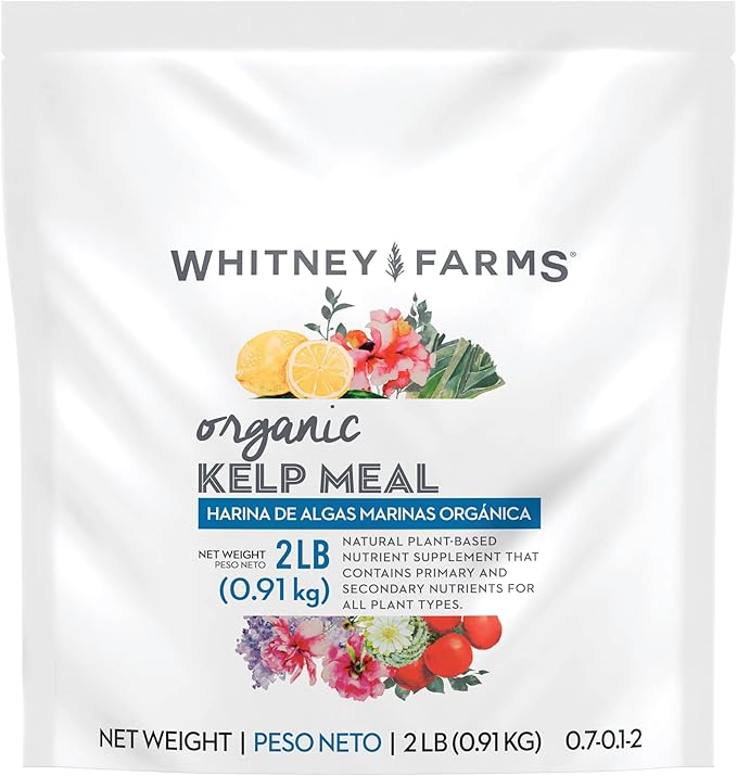 Whitney Farms Organic Kelp Meal - 0.7.01-2 Fertilizer and Soil Conditioner for Vegetables, Flowers, Roses and Shrubs - 2 lbs.