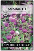 Sow Right Seeds - Tall Mixed Globe Amaranth Seeds for Planting - Non-GMO Heirloom Packet with Instructions to Grow an Outdoor Home Flower Garden - Gomphrena Pompom Flowers in Red, Pink, White (1)