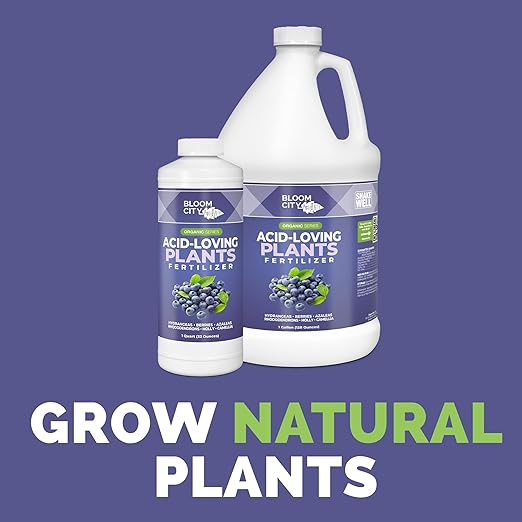 Bloom City Acid-Loving Plant Fertilizer – Liquid Soil Acidifier & Nutrient Formula for Blueberries, Hydrangeas & Other Acid-Loving Plants, 32 oz
