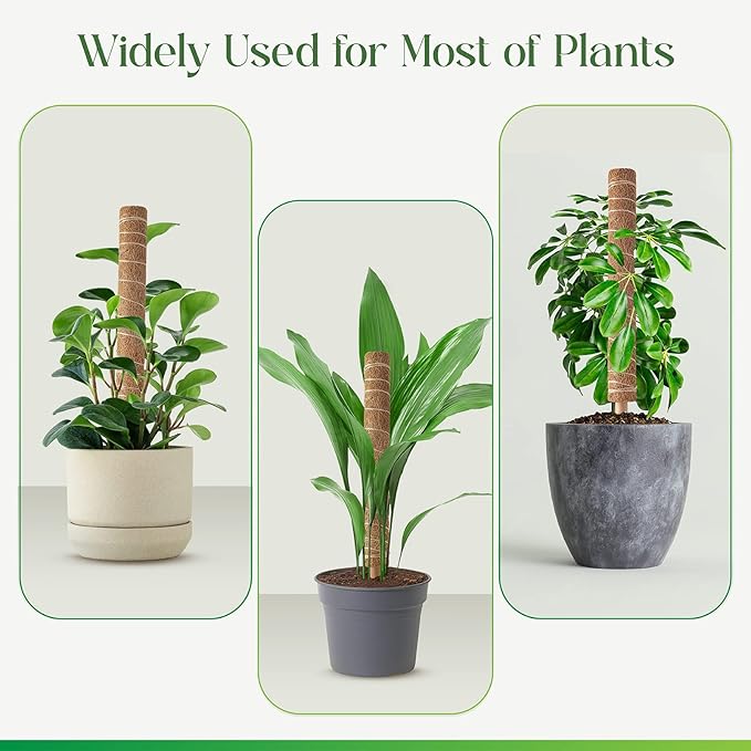 Pisol Moss Pole for Plants Monstera, Extendable Plant Sticks Support, Plant Stakes for Indoor Potted Plant, 15.7'' Coco Coir Pole Plant Trellis for Sphagnum, Pothos and Other Climbing Plants(2 PCS)