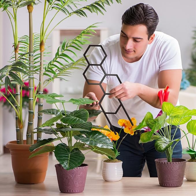 4 Pcs Trellises for Climbing Plants Indoor Metal Climbing Plant Support Metal Plant Trellis for Pots Garden Trellis for Climbing Plants for Plant Lovers (Style 1)