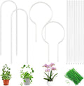 Lancisism 12 Pack Acrylic Plant Trellis for Indoor Climbing Plants, Thickened Clear U-Shaped & Round Small Plant Trellis, Potted Plant Climber Support for Hoya, Pothos, Vine Ivy, Monstera Houseplant