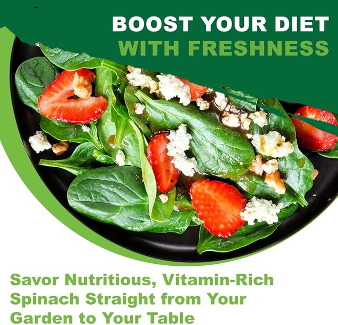 TKE Farms & Gardens - Bloomsdale Spinach Seeds for Planting, 320+ Heirloom Non-GMO Seeds, Cold-Hardy & Long Standing, Rich Flavor, Fast Growing for Spring & Fall Gardens, Indoors or Outdoors
