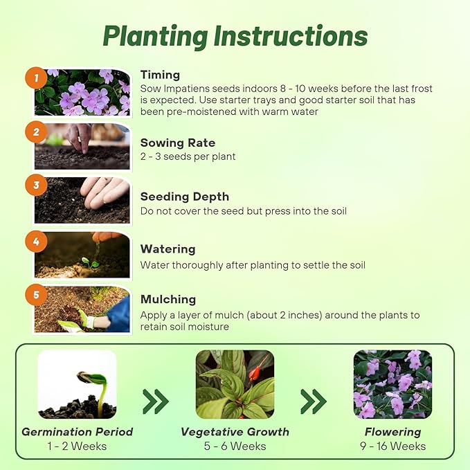 Outsidepride Extreme Lavender Impatiens Flower Seeds - 200 Pcs Annual, Compact & Pollinator Friendly, Impatiens Seeds for Planting w/Vibrant, Abundant Blooms for Shade Gardens & Container Displays