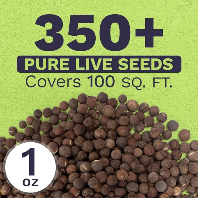 Sweet Pea Seeds Heirloom Mix - Bulk 1 Ounce Packet - Over 350 Seeds - Large Fragrant Lavender, Purple, Red, Pink and White Blooms