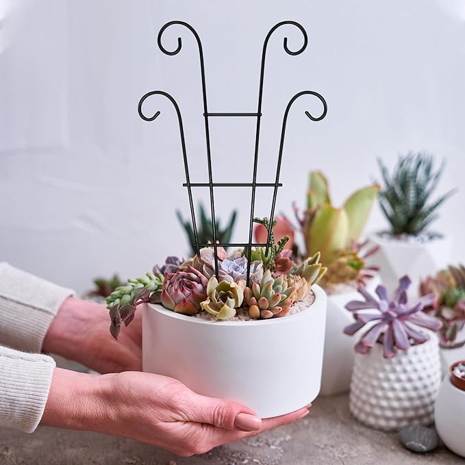14.17in Trellis for Climbing Plants Indoor, Small Metal Plant Trellis for Potted Plants, Houseplant Trellis Plant Support for Hoya Pothos Vine, Set of 4p, Black