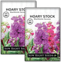 Sow Right Seeds - Hoary Dwarf Mix Stock Seeds for Planting - Non-GMO Heirloom Packet with Instructions to Plant an Outdoor Cottage Garden - Sweet Scented Double Flowers for Patios & Containers (2)