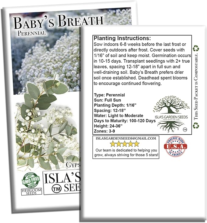 Perennial Baby’s Breath Seeds (Gypsophila) – 500+ Heirloom Non-GMO Seeds by Isla’s Garden Seeds, Delicate White Blooms, Perfect for Cut Flowers, Borders & Cottage Gardens