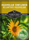 Survival Garden Seeds - Maximilian Sunflower (Helianthus maximiliani) | 10-Foot Prairie Giant | Fall Blooming Pollinator Magnet | North American Native Wildflower Seed for Planting - 1 Pack