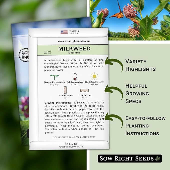 Sow Right Seeds - Common Milkweed Seeds for Planting - Attract Monarch Butterflies to Your Garden - Non-GMO Heirloom Seed Packet with Full Instructions to Plant - Perennial Plant for Pollinators (4)