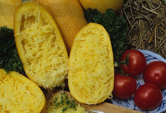Seeds Squash Zucchini Yellow (Inside Like Spaghetti) Large Summer Vegetable for Planting Non GMO
