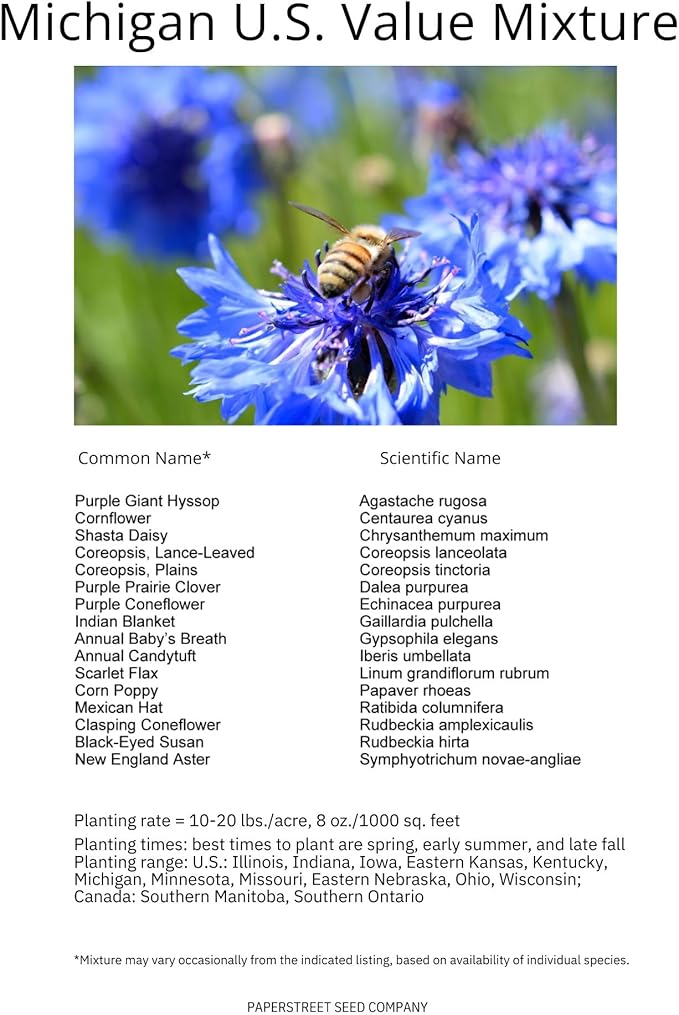 Michigan Bulk Perennial Wildflower Seed Mix 1lb Covers 2,000sq-ft - Attract Pollinators, Multi-Color Blooms - Midwest US Species Plant in Spring/Fall - Earth-Friendly Packaging (1/4 Pound)