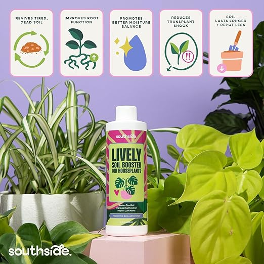 Southside Plants Lively Soil Conditioner for Houseplants – Repot Less, Revive Tired Potting Soil, Improve Drainage & Nutrient Uptake – Beneficial Bacillus Indoor Plant Booster