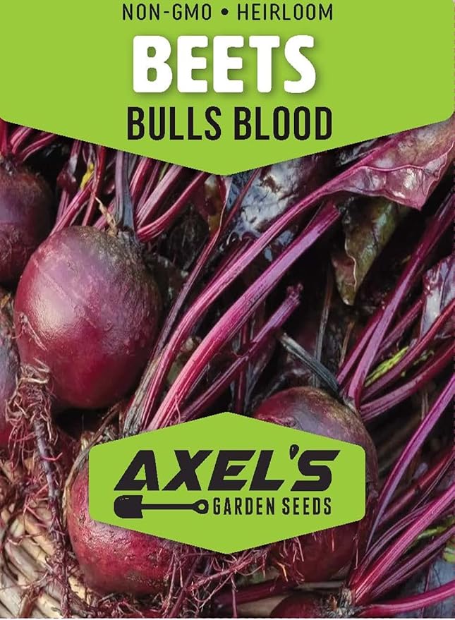 Bulls Blood Beet Seeds for Planting – Heirloom Non GMO Beet Seed Packets with Instructions to Plant & Grow Beets in Home Outdoor Vegetable Garden, Great Gardening Gift – 1 Packet