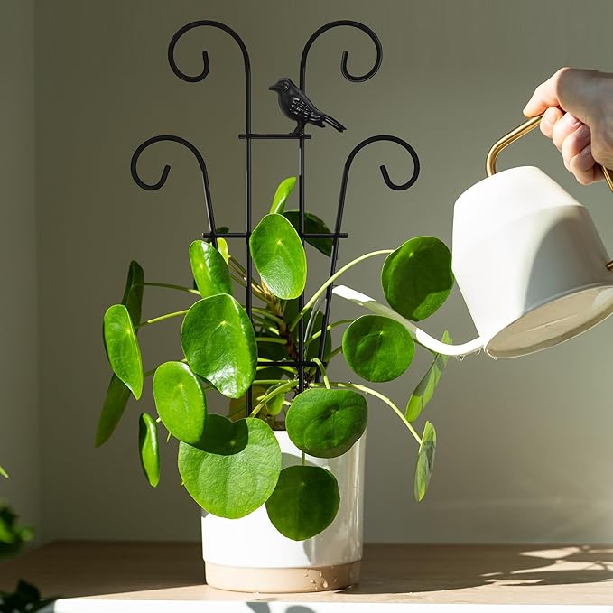 14.17in Indoor Plant Trellis for Potted Plants with Bird, Small Metal Indoor Trellis for Climbing Plants Indoor for Houseplant, Pothos Plant Climber Support for Hoya Vine, 2p