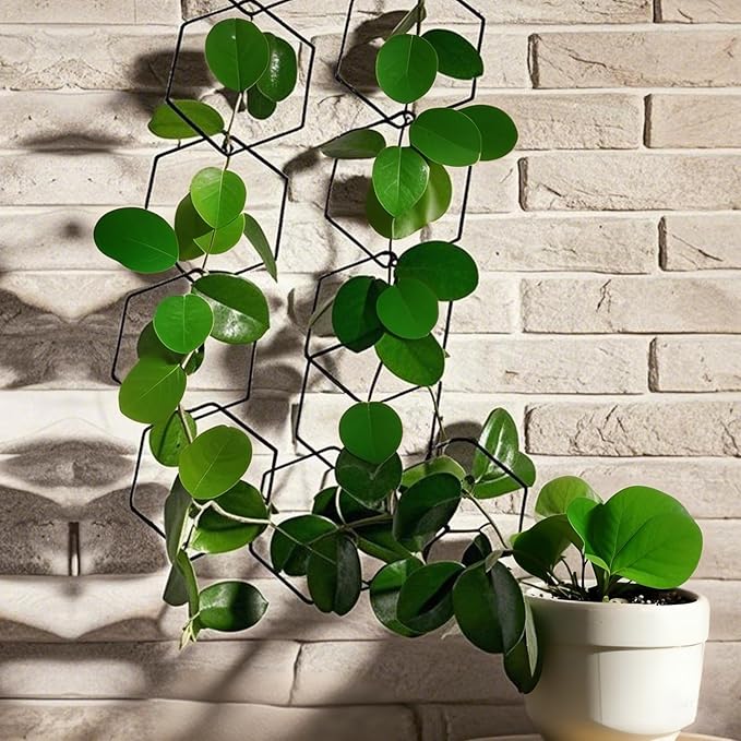 Chain Trellis for Climbing Plants, 18Pcs Metal Climbing Trellis with Hooks, Wall Trellis for Climbing Plants Indoor and Outdoor, Climber Plant Vine Support for Potted Monstera, Pothos, Ivy