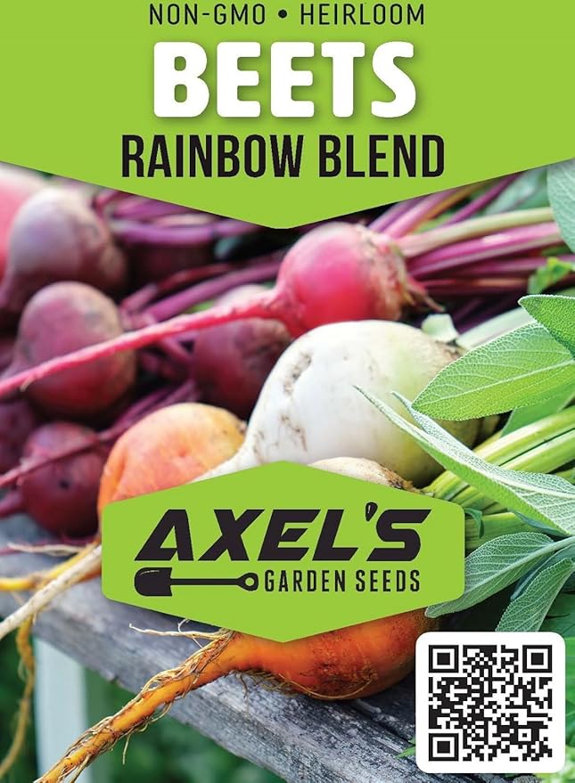 Rainbow Beet Seeds for Planting - Plant & Grow Heirloom Rainbow Beets in Home Outdoor Garden – Planting Instructions for Abundant Harvests – Great Gardening Gift, 2 Packets
