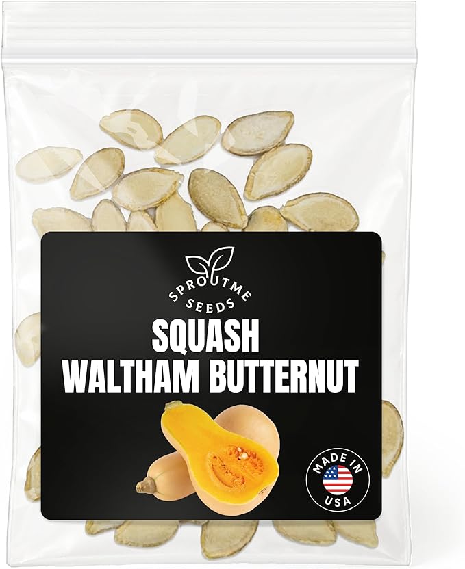 Fall & Winter Butternut Squash Seeds for Indoor & Outdoor Planting – 50+ Non-GMO Heirloom Sweet Winter Squash, High Germination (Cucurbita moschata)
