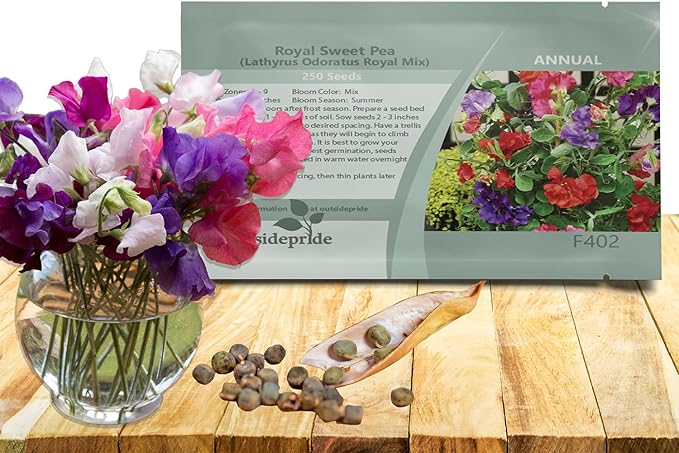 Outsidepride Royal Mix Sweet Pea Seeds - 250 Pcs Annual, Easy to Grow, Vine Seeds for Planting Fragrant, Long-Lasting Flowers with Free-Flowering Habit & Tall Size for Vertical Gardens