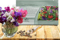 Outsidepride Royal Mix Sweet Pea Seeds - 500 Pcs Annual, Easy to Grow, Vine Seeds for Planting Fragrant, Long-Lasting Flowers with Free-Flowering Habit & Tall Size for Vertical Gardens