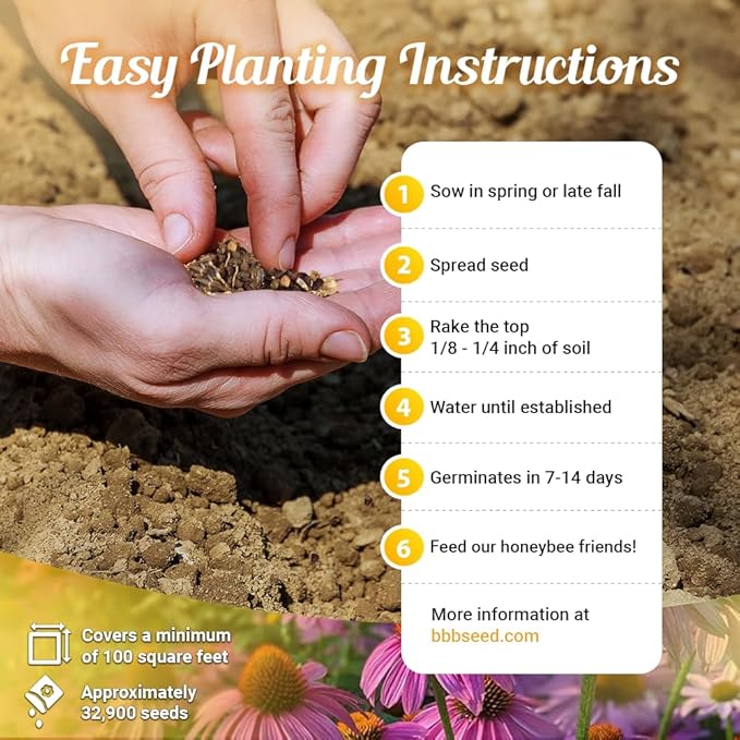 Honey Source Wildflower Seeds Mix for Honey Bees 1oz - Premium Annual and Perennial Flower Seed Mix – Bulk Planting for Pollinator