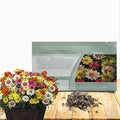 Outsidepride Zahara Raspberry Lemonade Mix Zinnia Seeds - 100 Pcs Annual, Heat & Drought Tolerant Flower Seeds for Planting w/Vibrant Blooms for Pollinator Gardens & Floral Arrangements