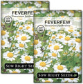 Sow Right Seeds - Feverfew Seeds for Planting - Non-GMO Heirloom Packet with Instructions to Plant an Outdoor or Indoor Herb Garden - Traditional Medicinal Herb, Make Tea & Extract for Migraines (2)