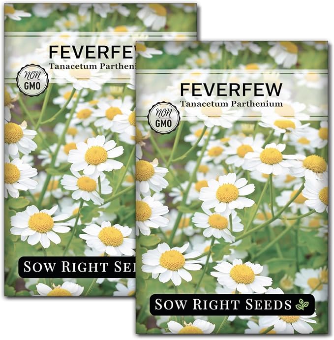 Sow Right Seeds - Feverfew Seeds for Planting - Non-GMO Heirloom Packet with Instructions to Plant an Outdoor or Indoor Herb Garden - Traditional Medicinal Herb, Make Tea & Extract for Migraines (2)