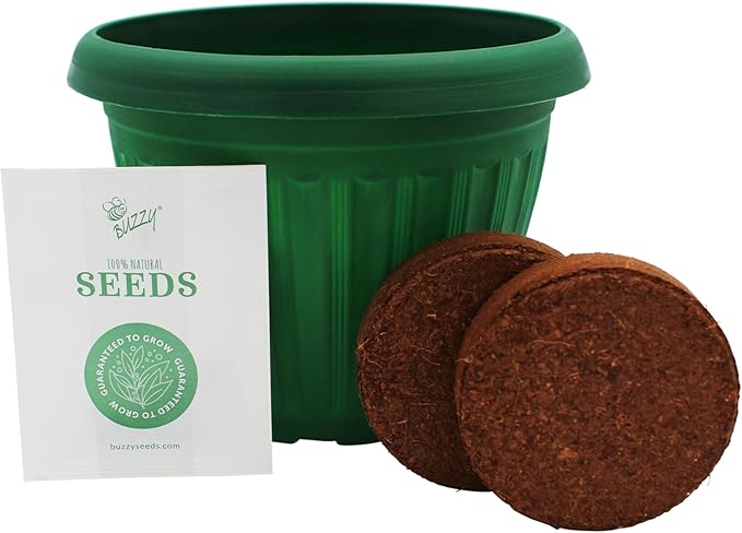 BUZZY Seeds Chaos Garden 3-Pack – Butterfly, Bee Attraction and Wildflower Seeds in 5.5 Inch Colorful Plastic Pots, Easy-Grow Flower Starter Kit, Indoor Gardening Gift