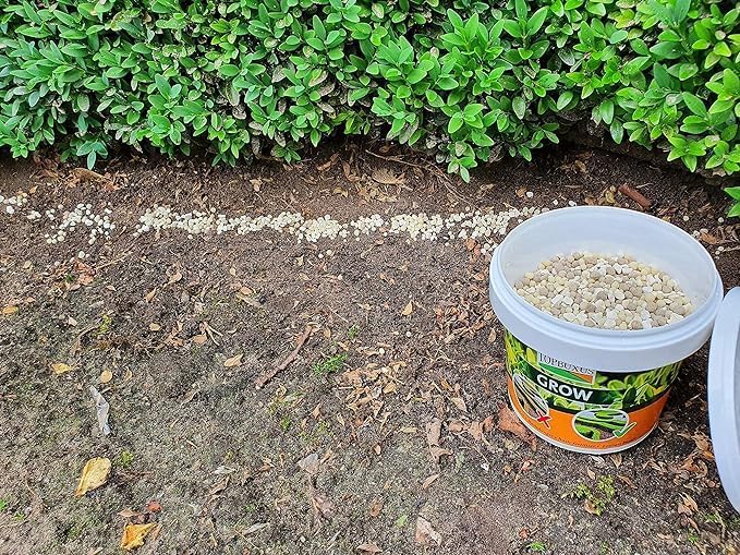 TOPBUXUS Boxwood Turbo Grow - Professional Boxwood Fertilizer - 1 lbs. for 100 sq. ft.