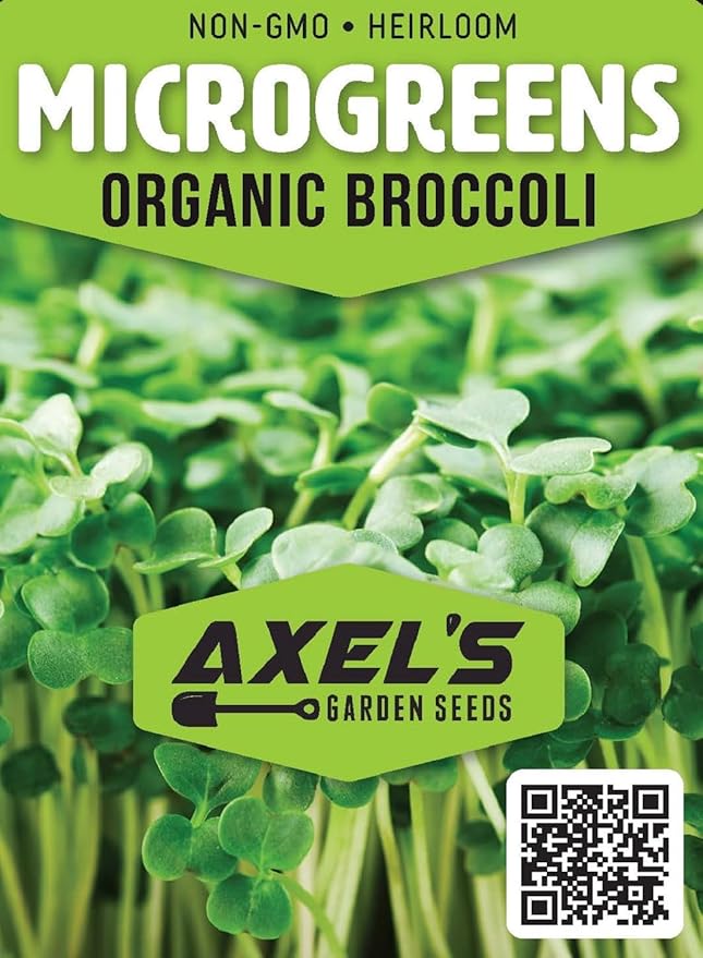 Organic Broccoli Seeds for Sprouting Microgreens – Heirloom, Non GMO Seed Packet to Plant & Grow Organic Broccoli in Home Indoor Hydroponic Gardens – Great Gardening Gift (1 Packet Approx 250 Seeds)