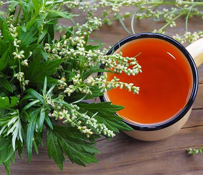 TomorrowSeeds - Common Mugwort Seeds - 5000+ Count - for 2025 Planting Artemisia Vulgaris Wormwood Weed Moxa Moxibustion Riverside Acupuncture Perennial Vegetable Herb Grow Your Own Home Farm Patio