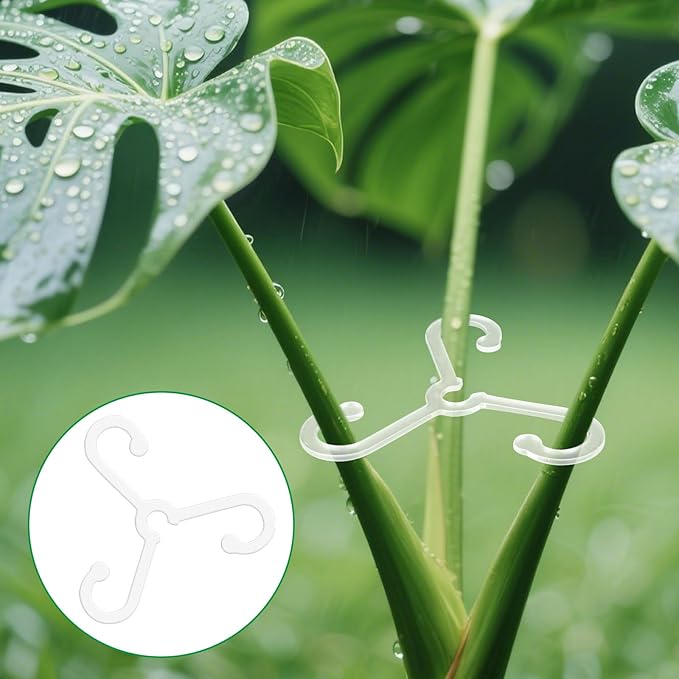 BOXOB 4pcs Plant Stem Supports, Reusable Houseplant Acrylic Stabilizer Grapple Holder 2 Sizes Leaf Support for Thriving Growth Indoor/Outdoor Monstera & Climbing Plants Flowers