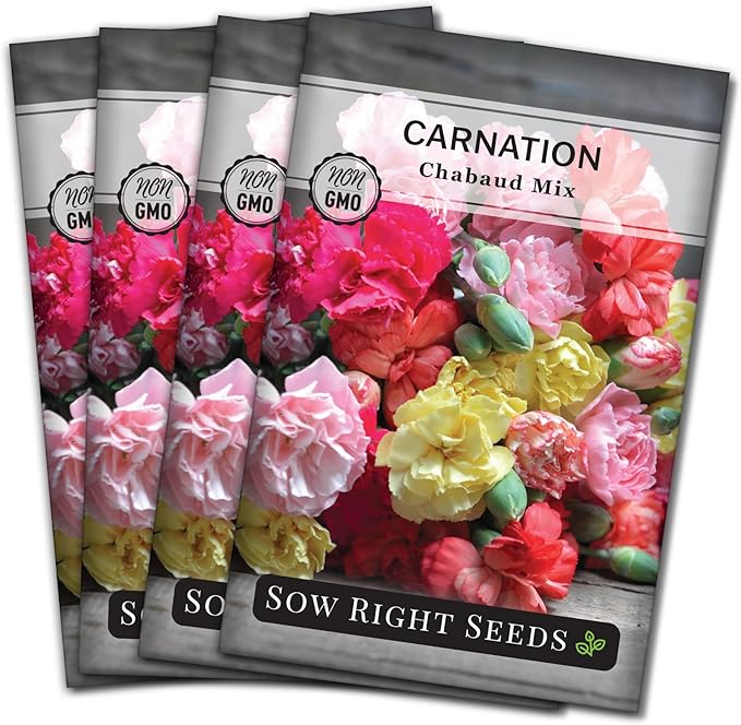 Sow Right Seeds - Chabaud Mix Carnation Seeds for Planting - Non-GMO Heirloom Dianthus Variety Ideal for Outdoor Gardens - Grow Large Carnation Plants - Easy to Sow and Bloom Beautiful Flowers (4)