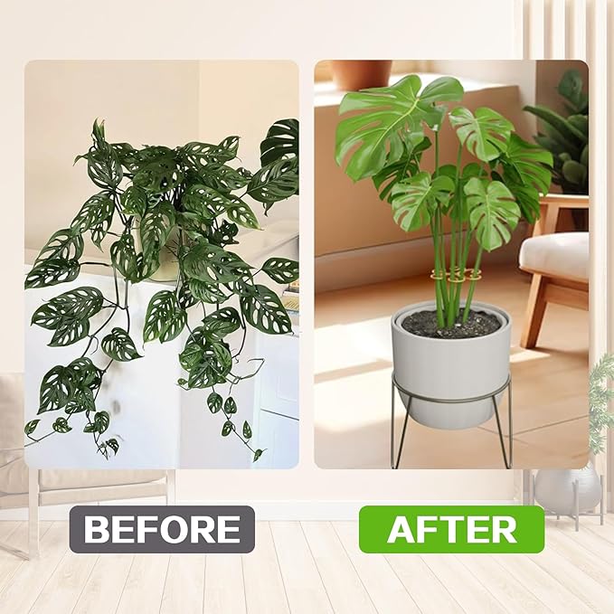 Plant Stem Supports, 5 Pack Iron Monstera Plant Support for Indoor Plants - Plant Stabilizer Stake Holder for Climbing Plants, Monstera Deliciosa, Pothos, Vine for Stable Growth