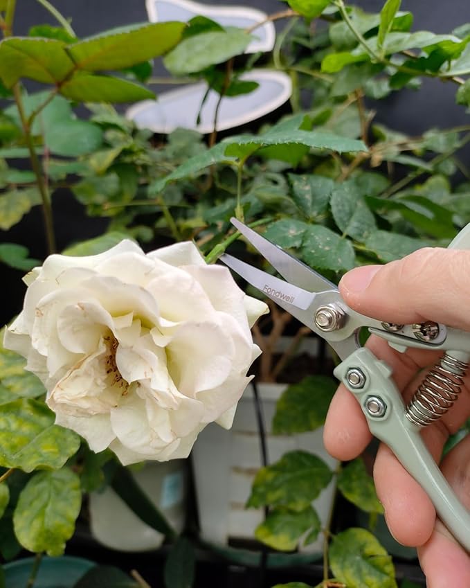 Fondwell 6" Pruning Shears Garden Scissors: Ultra Sharp Garden Clippers - Reliable Flower Snips for Trimming Small Plants
