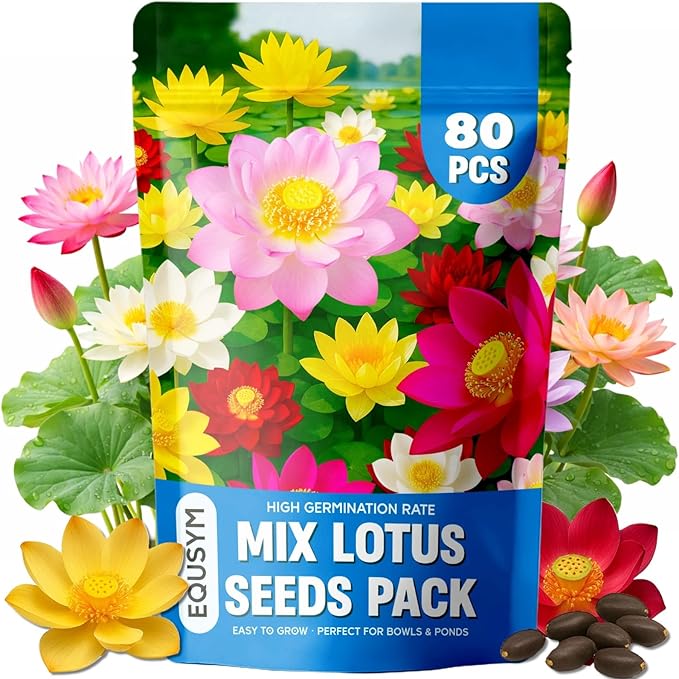 80Pcs Lotus Seeds for Planting – Bonsai Bowl Lotus Flower Seeds, Mixed Non-GMO Easy Grow Loto de Cuenco Semillas for Pond, Fish Tank & Home Garden
