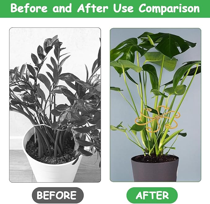 5 Pcs Plant Stem Support, Iron Monstera Plant Support, Durable Hook Stem Supports for Healthy Growth, Bamboo Clamp Set for Leaf Stabilization and Support, Ideal Present for Plant Lovers
