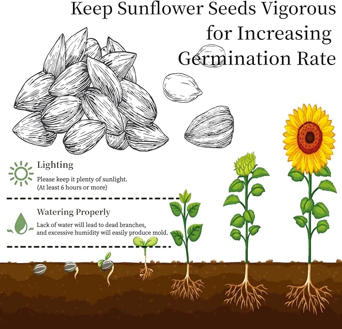 Flower Growing Kits, Windowsill Planting Kit with Planting Bags, Coir Soil & Tools Indoor Gardening Starter Kit with Seed(Sunflower, Zinnias & Marigold) Flower Gardening Gifts for Women & Men