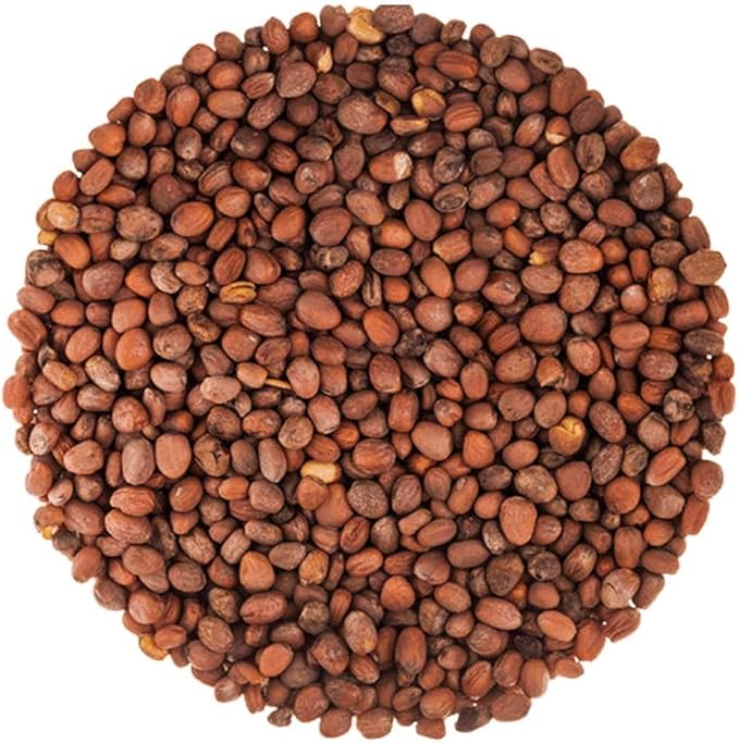 Food to Live Organic Radish Seeds for Sprouting, 8 Ounces Non-GMO, Edible Seeds, Pure, Vegan, Kosher, Bulk. Spicy, Rich in Vitamin C. High Germitation Rate. Grow Sprouts, Microgreens for Salad